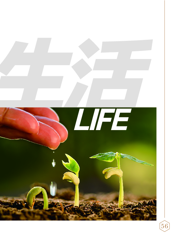 鸿文化原创内刊第11期 2020年1月刊