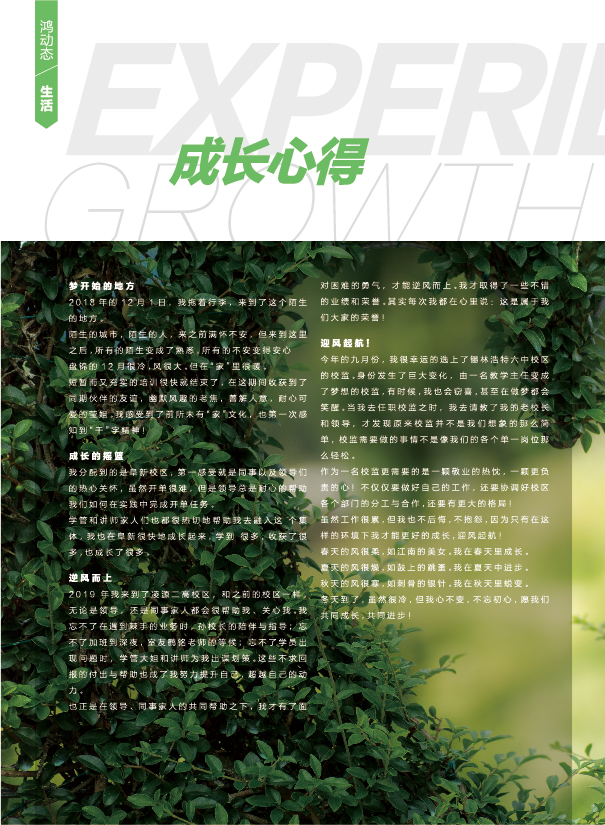 鸿文化原创内刊第11期 2020年1月刊