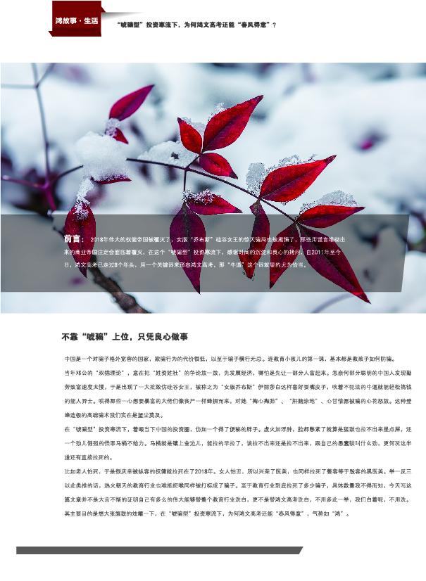 鸿文化原创内刊第10期 2019年2月刊