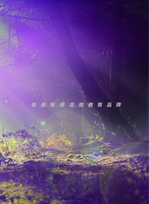 鸿文化原创内刊第8期 2018年5月刊