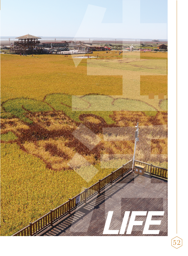 鸿文化原创内刊第11期 2020年1月刊